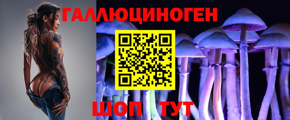 Галлюциногенные грибы мицелий Коркино